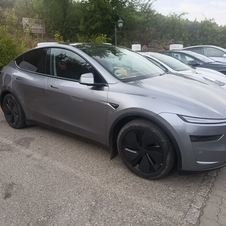 tesla verkaufen